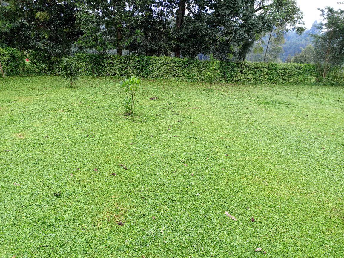 Prime plot for Sale, Kericho