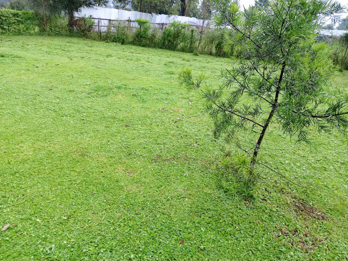 Prime plot for Sale, Kericho