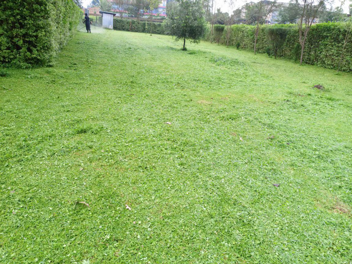 Prime plot for Sale, Kericho